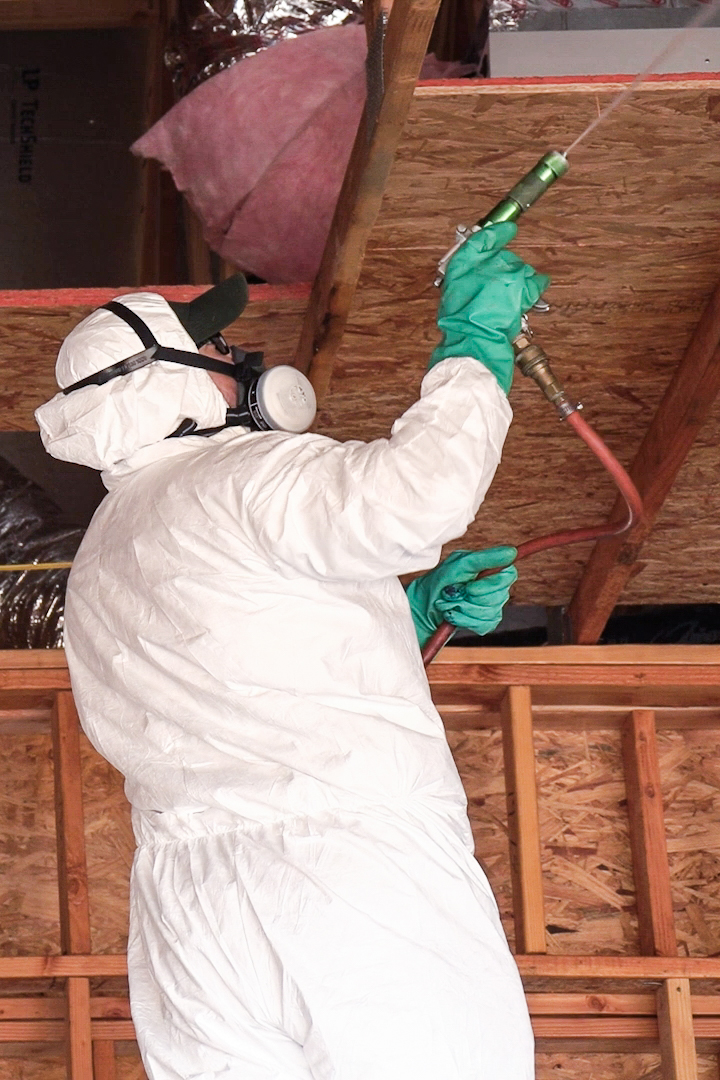 Drywood termite treatment in Southern California